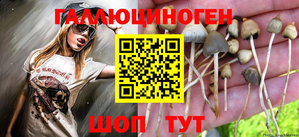 Псилоцибиновые грибы мухоморы  Вход с VPN  Подольск 